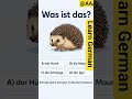 #Germananimals #germanshorts, #germanlanguage