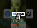 配信中に家族が乱入してきたww #マイクラ #マインクラフト