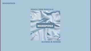Mariposa - Peach Tree Rascals (slowed   reverb)