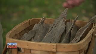 Native Spirit: Importance of hickory
