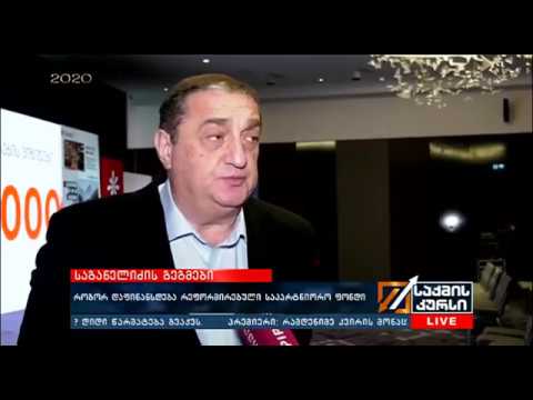 დავით საგანელიძე ფონდის რეფორმირების შესახებ