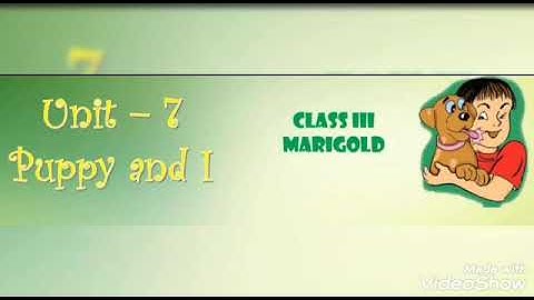 NCERT, Class 3rd, English, Lesson - 13, Puppy and I, explanation with solved exercises and que & ans