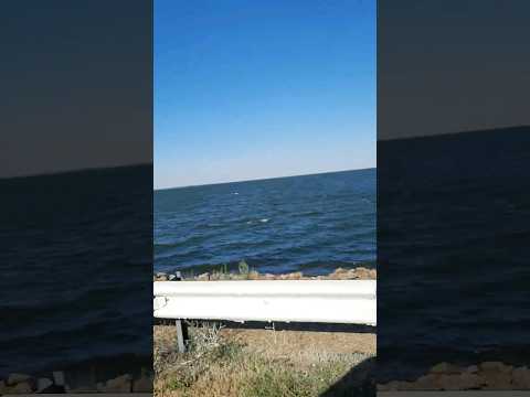 Весёловское водохранилище. #маныч #водохранилище #лучиксчастья