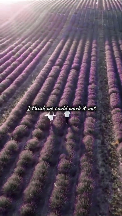 WYD Now? - Sadie Jean (aesthetic video) lyrics edit