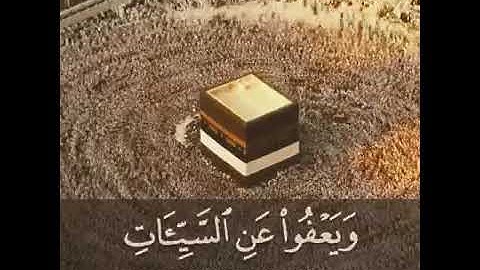 تلاوة صباحية بصوت رائع || حالات واتس قرأن || 💙