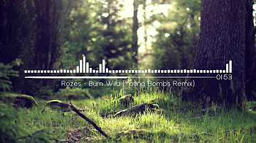 Rozes - Burn Wild (Young Bombs Remix)