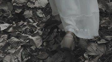 Butterfly des Himmel