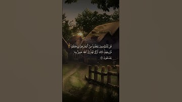 القارئ سليمان العتيبي🎧سورة النور #اكسبلور #quran #قرآن