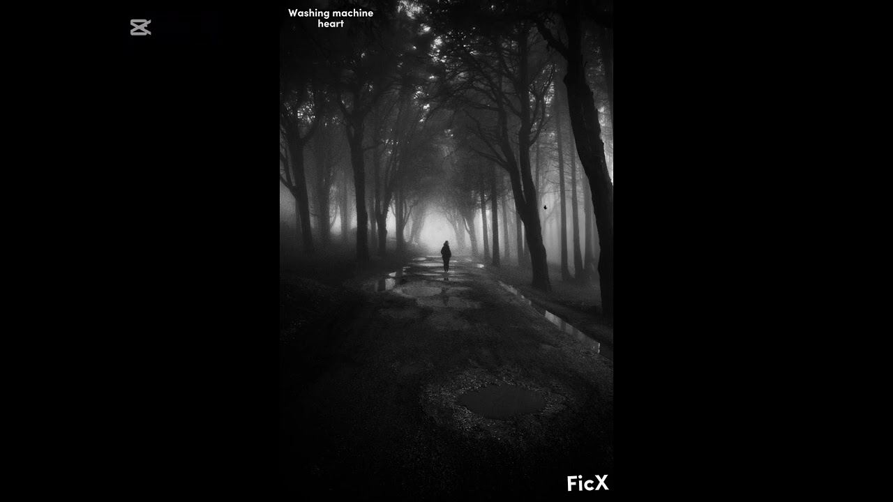 mitski -Washing machine heart(the best part) [slowed ÷reverb]