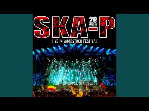 Romero el Madero (Live In Woodstock Festival)