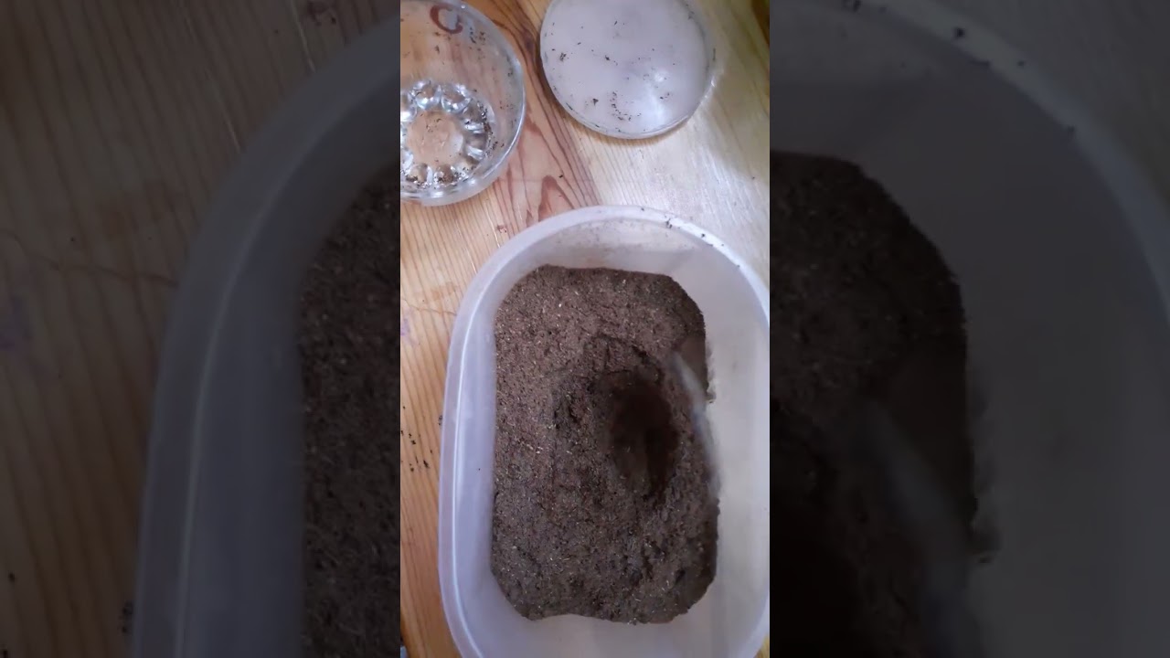 طريقة عمل بخور المبثوث نفس الماركات بالضبط