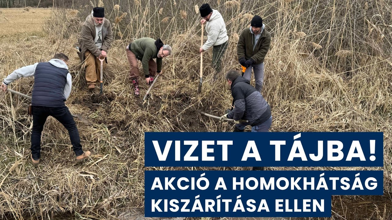 VIZET a TÁJBA! AKCIÓ a Homokhátság kiszárítása ellen, a Zöld Gerillák meghívására!