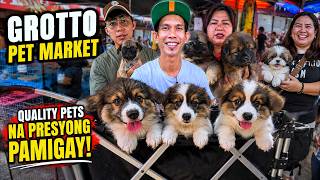 MAGUGULAT KA SA PRESYO! PRESYONG PAMIGAY NA!😍 | Grotto Pet Market Dogs, Cats and Birds