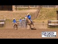 Myers performance horses stallions 2018