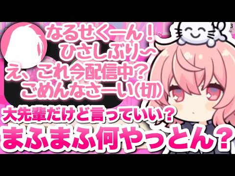 【切り抜き】無敵になって帰ってきたまふまふに大爆笑するなるせ【なるせ/まふまふ】【逆凸】