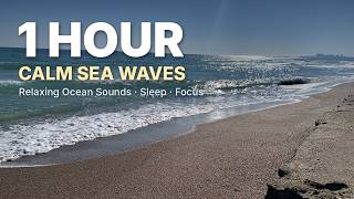 1 Hour of Calm Black Sea Waves 🌊 ASMR Relaxing Ocean Sounds for Sleep & Focus