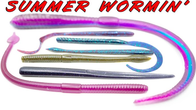 How To Fish BIG Plastic Worms  Rigging Tricks For Summer Bass Fishing 