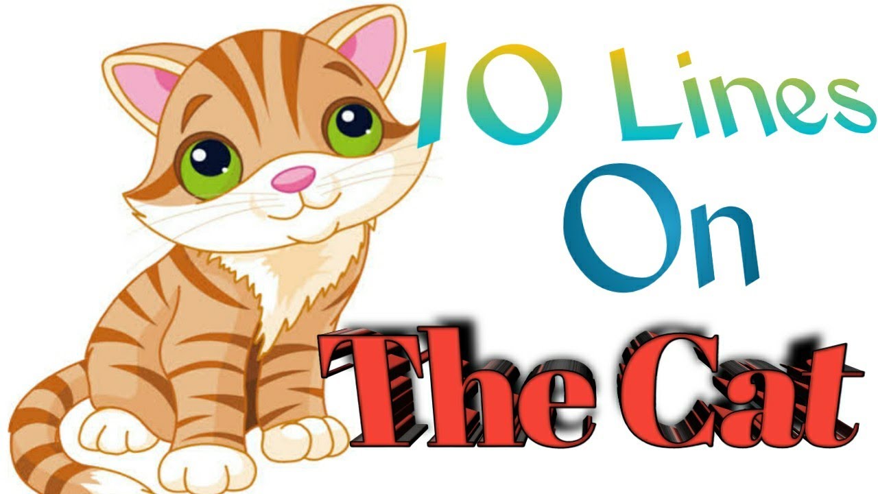 10 Lines On The Cat| Short Essay On The Cat In English| Few Lines On The Cat| The Cat 10 Lines