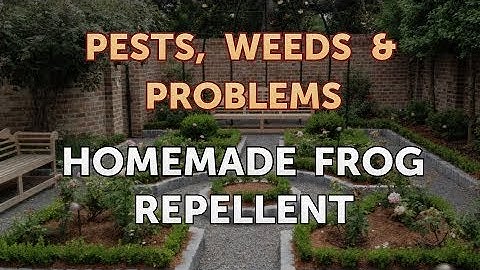Homemade Frog Repellent