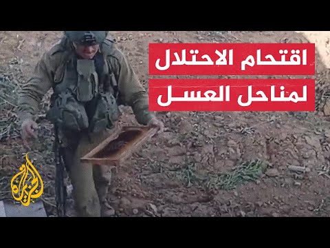 جنود إسرائيليون يسرقون العسل بمناحل خان يونس