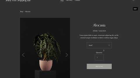 Squarespace Currency Converter 2.0