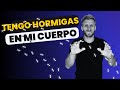 Sensación de Hormigueo Ansiedad -  Parestesia