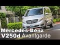 豪華大肚量 Mercedes-Benz V250d Avantgarde