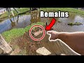 WARNING: Disturbing Footage - Horrific Remains Discovered While Magnet Fishing (Rest In Peace)