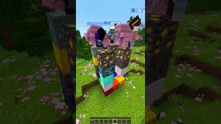 Minecraft Block Telepathy 🤣😀