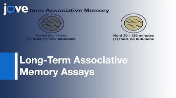 C. elegans Positive Butanone Learning, Short & Long-Term Associative Memory Assay l Protocol Preview