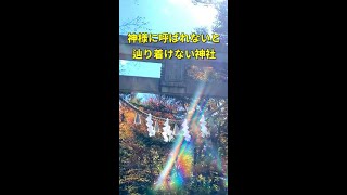 【玉置神社参拝】この動画に辿りいたとき怖いくらい奇跡が起こり始める「神様に呼ばれないと辿りつけない神社」#shorts