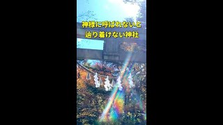 【玉置神社参拝】この動画に辿りいたとき怖いくらい奇跡が起こり始める「神様に呼ばれないと辿りつけない神社」#shorts