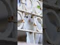 Aykut Malkoç - Teaser