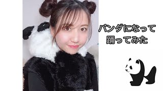 パンダになって踊ってみた