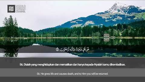 [010] Surah Yunus [Full] - Hamzah Ma'az | سورة يونس (كاملة) - حمزة معاذ