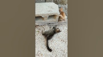 3 words response invade you been guilt trip #boundaries #motivation #quotes #youtubeshorts