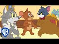 Tom i Jerry po polsku | Złodziejska małpka | WB Kids