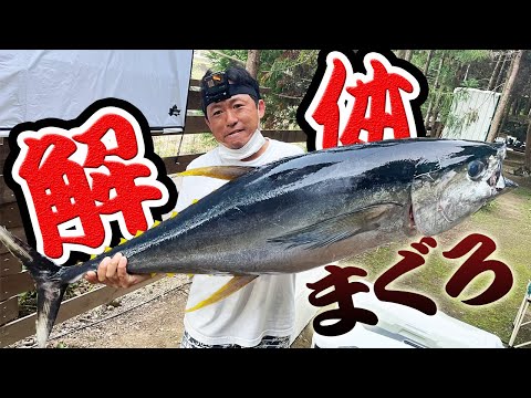 巨大マグロをキャンプで解体して豪快料理!!