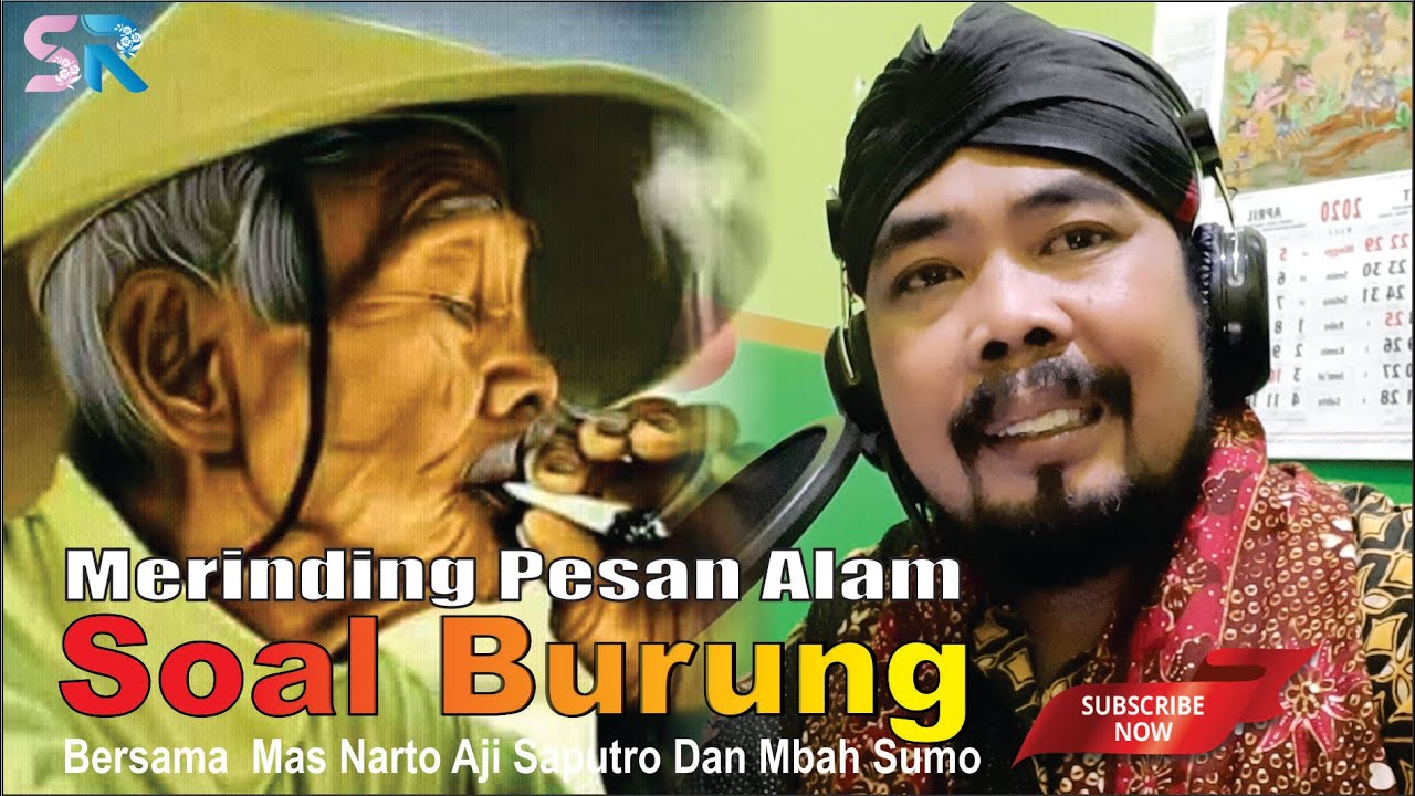 MERINDING PESAN ALAM TENTANG BURUNG  MBAH SOMO