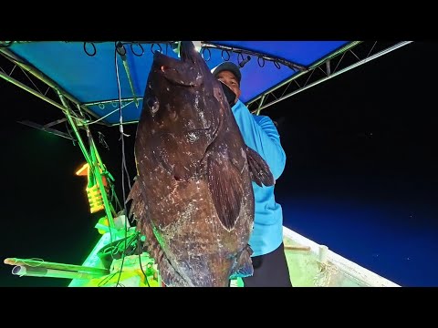 FRENCH TOURIST HITS THE JACKPOT WITH A 20 KG GIANT GROUPER ❗️ MANADO SPOT IS AWESOME ....