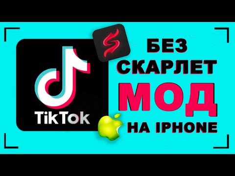 Как скачать новый тик ток на айфон - скачать без scarlet