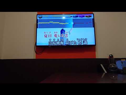ただ君に晴れ【カラオケで歌ってみた】