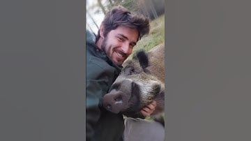 A Deep Bond With a Wild Pig 💖