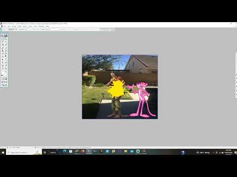 The Pink Panther Pees On Shaw And Gets Ungrounded 