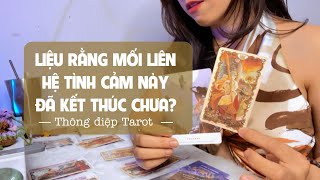 Thông điệp Tarot| LIỆU RẰNG MỐI LIÊN HỆ TÌNH CẢM NÀY ĐÃ KẾT THÚC CHƯA?