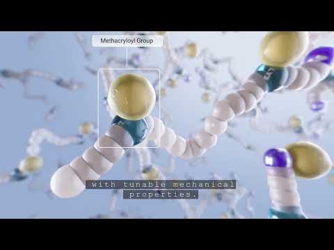 Discover X-Pure GelMA. Production process and advantages. - video from Rousselot