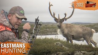 Bull walks right to me! Bow Hunting Caribou | Eastmans' Hunting TV