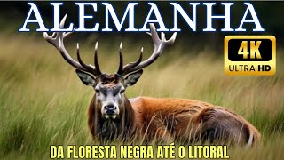 Alemanha Selvagem - Um Documentário Épico Da Floresta Negra Até O Litoral - Parte 1 Extra Longo