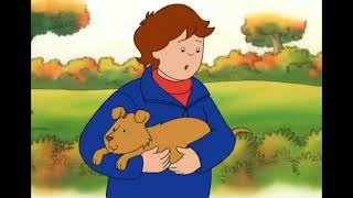 Caillou Caillous Furry Friends 2001 Vhs