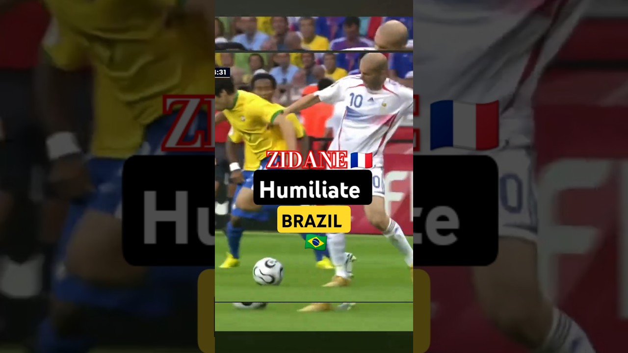 France legend Zidane☠️